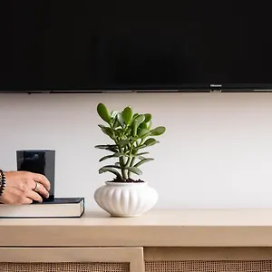 Knox - Downtown Apartment